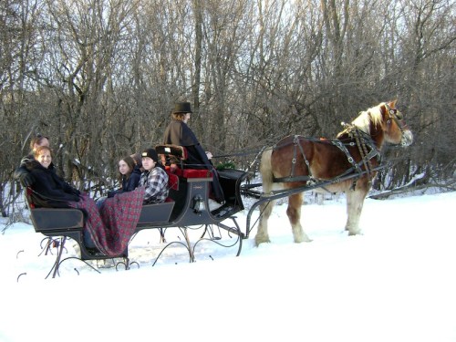A horse-drawn sleigh in a snowy landscape with four people bundled up in blankets. Trees are in the background.