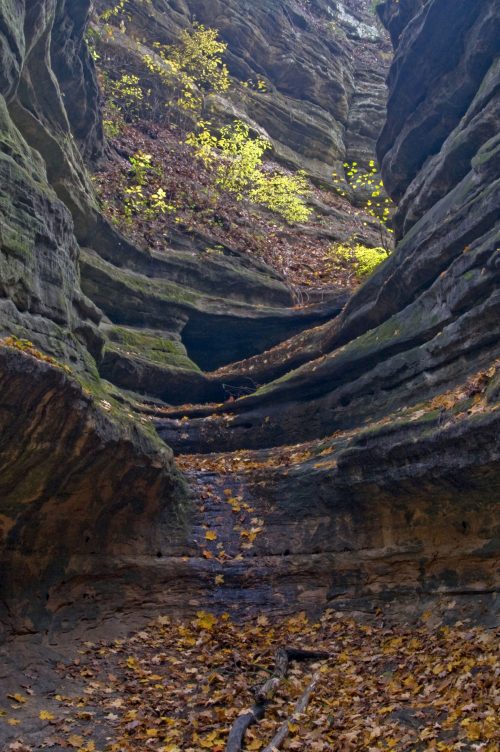 A narrow canyon with layered rock formations and autumn leaves scattered on the ground, illuminated by soft light above.