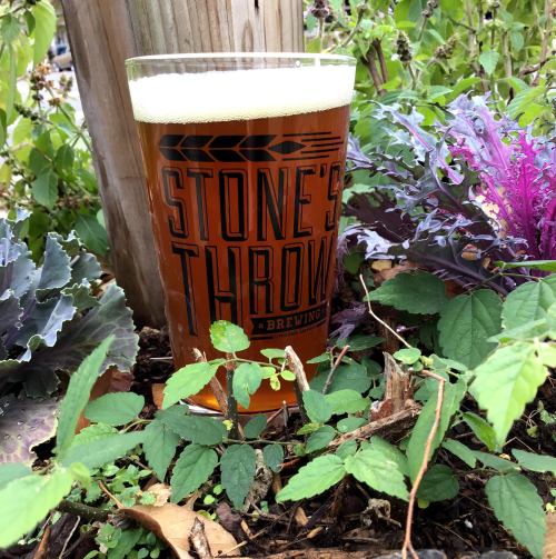 A pint glass of amber beer sits among green and purple plants, with a wooden post in the background.