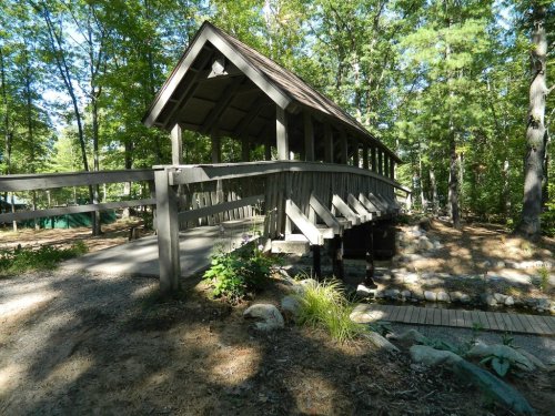A wooden covered bridge surrounded by trees, leading over a small stream in a serene forest setting.