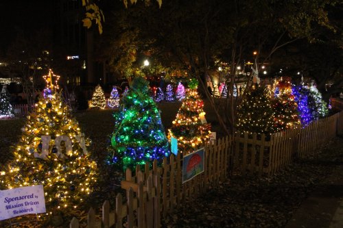A festive display of decorated Christmas trees illuminated with colorful lights in a park at night.