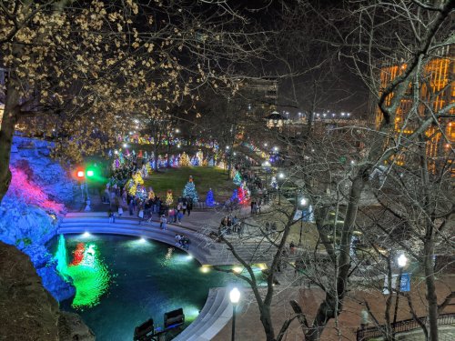 A nighttime view of a park decorated with colorful Christmas trees, surrounded by bare trees and festive lights.