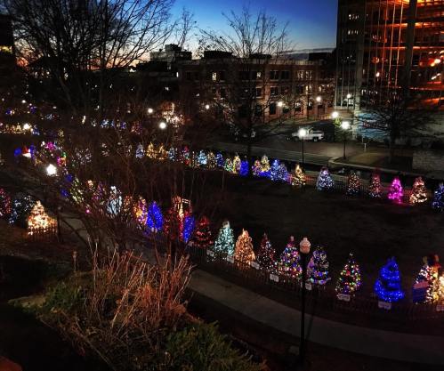 A park decorated with colorful Christmas trees, illuminated at dusk, with buildings in the background.