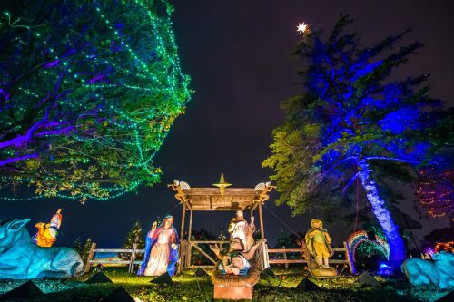 Nativity scene illuminated with colorful lights, featuring figures of Mary, Joseph, and baby Jesus under a starry sky.