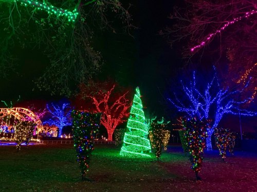 Colorful holiday lights illuminate trees and a glowing green Christmas tree in a festive nighttime setting.