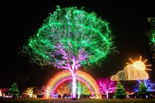 A brightly lit tree surrounded by colorful holiday lights, with a rainbow arch and festive decorations in the background.