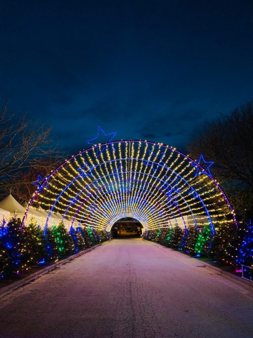 A colorful archway of lights with stars, leading down a snowy path lined with Christmas trees at dusk.