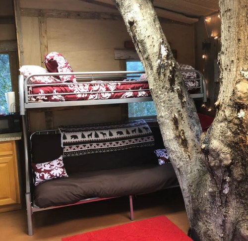 A cozy interior with a bunk bed, a futon, and a tree trunk integrated into the design, surrounded by warm lighting.