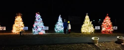 A row of brightly lit Christmas trees at night, with two people standing in front, surrounded by festive signs.