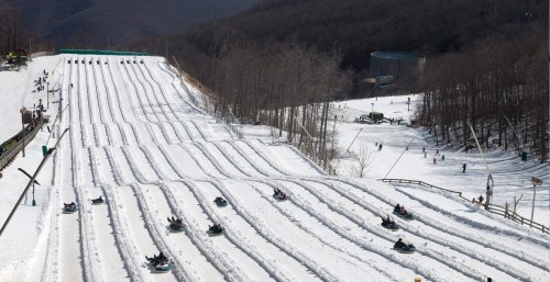 A snowy hill with multiple tubing lanes, people enjoying snow tubing, and trees in the background.