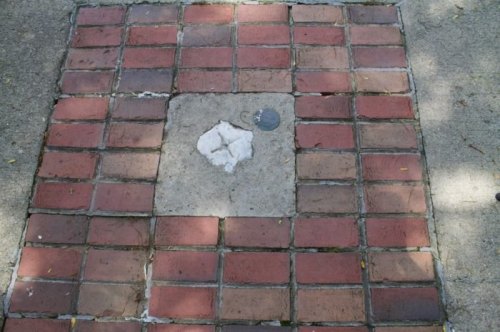 A square patch of concrete surrounded by red bricks, with a small circular object in the center.