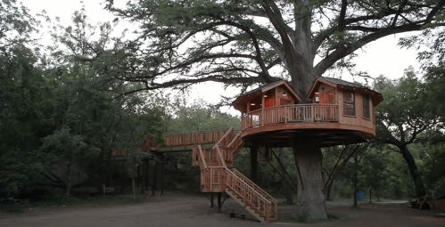A wooden treehouse with a balcony, nestled in a large tree, surrounded by greenery and a staircase leading up to it.