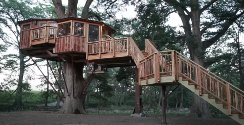 A wooden treehouse with multiple levels and a staircase, nestled among large trees in a natural setting.