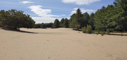 A sandy landscape with scattered trees and a blue sky, featuring gentle dunes and patches of greenery.
