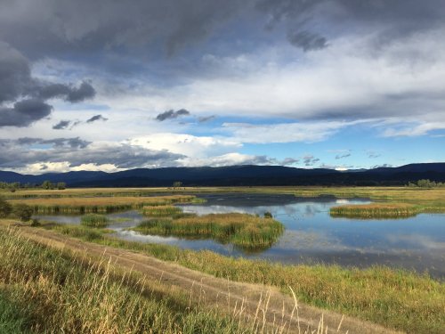 A serene landscape featuring a calm water body surrounded by lush greenery and distant mountains under a cloudy sky.