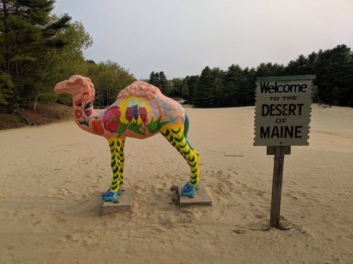 A colorful, painted camel statue stands in sandy terrain, next to a sign reading "Welcome to the Desert of Maine."