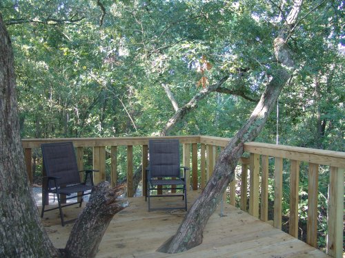 A wooden deck surrounded by trees, featuring two chairs and a tree trunk growing through the railing.