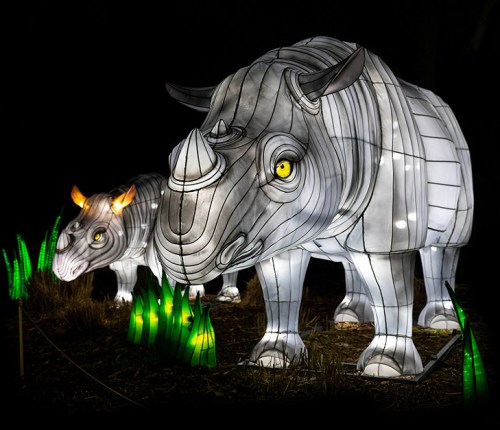 Two illuminated rhino lanterns stand in a dark setting, surrounded by green grass-like lights.