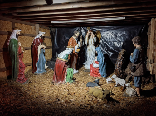 Nativity scene with figures of Mary, Joseph, baby Jesus, and animals, set in a rustic barn environment.