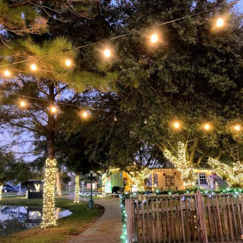 A cozy outdoor scene with string lights illuminating trees and a pathway, creating a festive atmosphere at dusk.