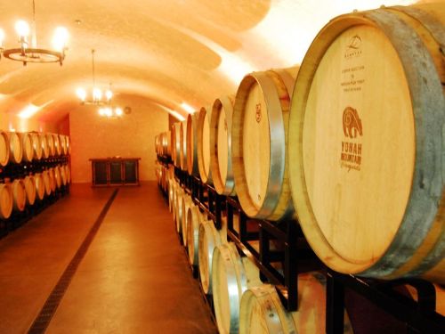 A dimly lit wine cellar with wooden barrels lined along the walls and a wooden table in the background.
