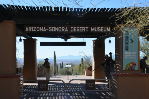 Entrance to the Arizona-Sonora Desert Museum, featuring desert scenery and cacti in the background.