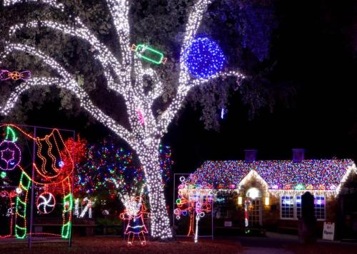 A festive display of colorful Christmas lights on trees and a house, creating a cheerful holiday atmosphere at night.