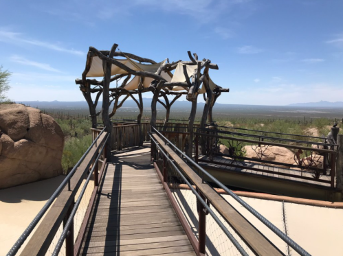 A wooden walkway leads to a shaded structure with a desert landscape in the background under a clear blue sky.