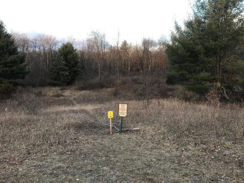 A grassy area with sparse trees and a sign indicating a trail or area rules in a natural setting.