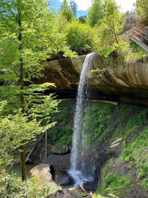 A serene waterfall cascading over a rocky ledge, surrounded by lush green trees and foliage.