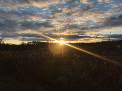 Sunset over a grassy field, with clouds and a warm glow illuminating the horizon.