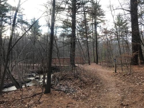 A wooded trail with a small bridge over a stream, surrounded by trees and fallen leaves.