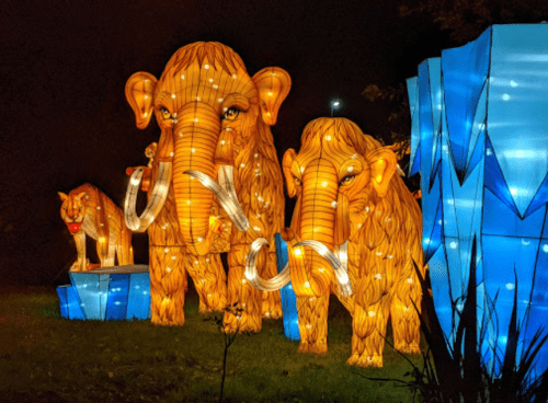 Three illuminated elephant sculptures with intricate designs, surrounded by blue ice-like structures at night.