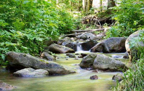 A serene stream flows over rocks, surrounded by lush green foliage and trees in a peaceful natural setting.
