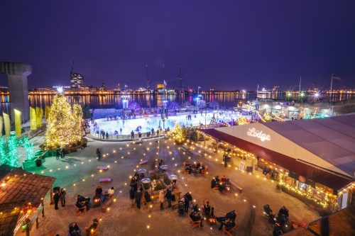 A festive outdoor ice skating rink surrounded by twinkling lights and decorated trees at night.