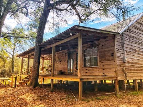 A rustic wooden cabin with a porch, surrounded by trees and a sunny outdoor setting.