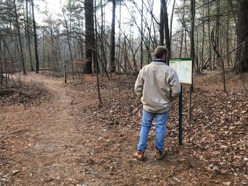 A person stands in a forest, reading a trail map at a signpost, with a path diverging in the background.