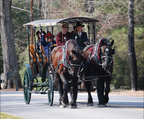 A horse-drawn carriage with passengers travels down a tree-lined road on a sunny day.
