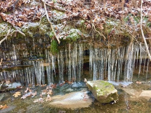 Icicles hang from a mossy rock ledge above a shallow stream, surrounded by fallen leaves and earthy tones.