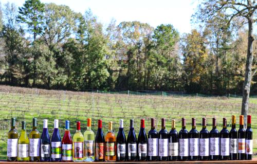 A variety of wine bottles displayed on a table, with a vineyard and trees in the background.