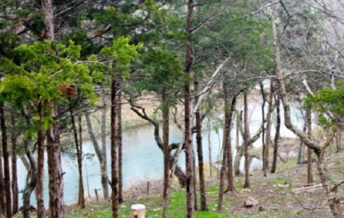 A serene landscape featuring a river surrounded by trees and greenery, creating a peaceful natural setting.