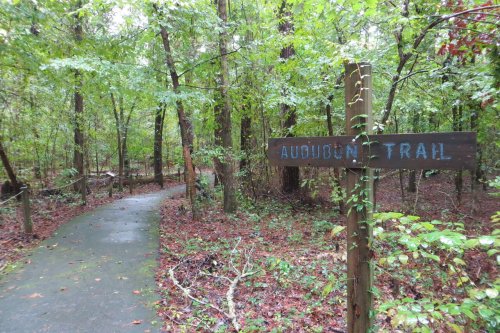 A winding path through a lush, green forest with a wooden sign for "Audubon Trail."
