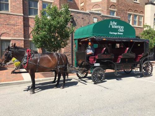 A horse-drawn carriage parked outside a brick building, with a driver seated in the carriage.