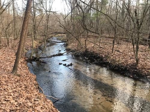 A serene stream flows through a wooded area, surrounded by bare trees and fallen leaves.