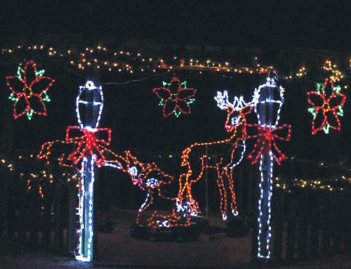 Colorful Christmas lights display featuring reindeer and festive decorations with bows and flowers.