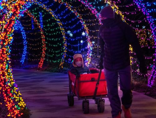 A person pulls a child in a red wagon through a colorful, illuminated pathway decorated with festive lights.