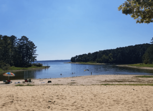 A sandy beach by a calm lake, surrounded by trees under a clear blue sky, with people enjoying the water.
