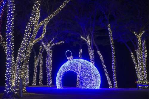 A large blue ornament made of lights surrounded by trees adorned with white string lights at night.