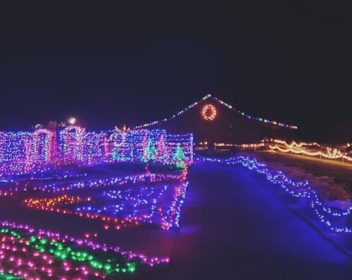 Colorful holiday lights illuminate a garden path and a building, creating a festive nighttime scene.