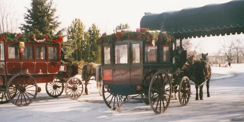 Two decorated horse-drawn carriages parked under a canopy, surrounded by trees.